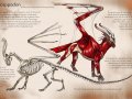 Kreed_book_Drocappadon_Page_1_by_86Caskin.jpg